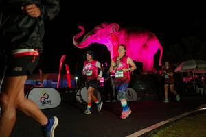 BIB: 
                            <button type="button" onclick="openModal(26544105)" class="btn btn-primary btn-sm float-right btn-popup" data-toggle="modal" data-target=".modal-high-quality">
                        <i class="fas fa-shopping-cart"></i> Add to Cart
                    </button>
                                            <button type="button" onclick="isThisMe(26544105, true)" class="btn btn-success btn-sm float-right btn-popup btn-isme hidden" data-toggle="tooltip" data-placement="bottom" title="นี่คือรูปของคุณใช่ไหม คลิกที่นี่เพื่อเอาเข้าอัลบั้ม">
                        <i class="fas fa-plus"></i> Add to album
                    </button>
                    <button type="button" onclick="isThisMe(26544105, false)" class="btn btn-warning btn-sm float-right btn-popup btn-isnotme hidden">
                        <i class="fas fa-ban"></i> Remove from album
                    </button>